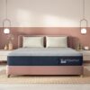 Wakefit Mattress 5-Inch Bed Mattress for Single Bed | 7 Years Warranty